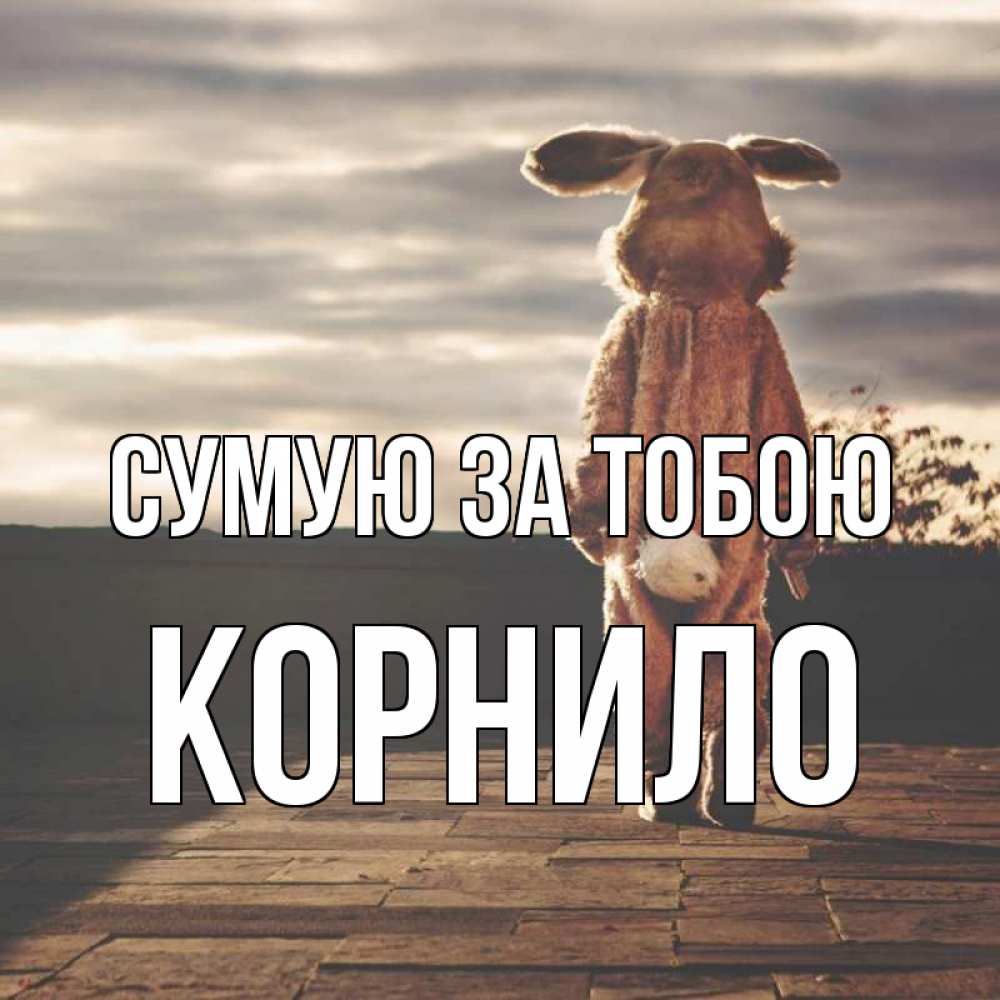 Открытка на каждый день з підписом, Корнило Сумую за тобою даже в костюме зайца Прикольна листівка з побажанням онлайн скачати безкоштовно 
