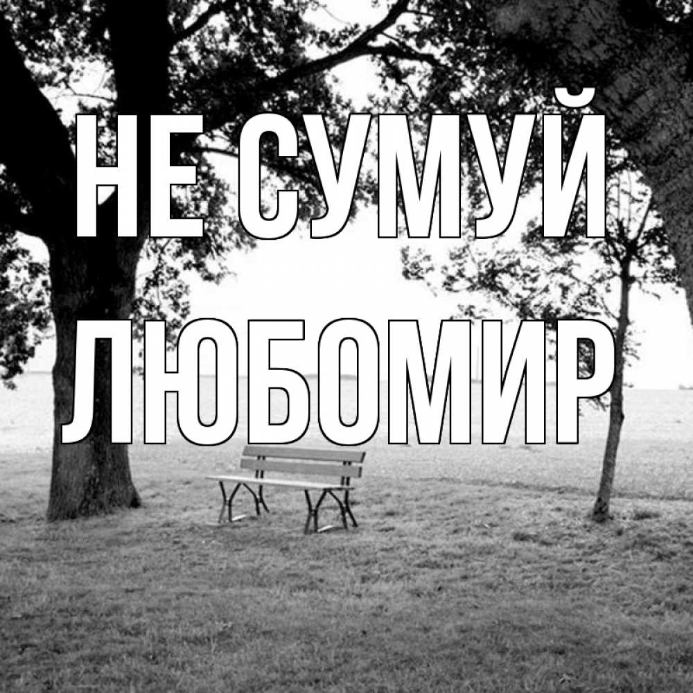 Открытка на каждый день з підписом, Любомир Не сумуй мощное дерево Прикольна листівка з побажанням онлайн скачати безкоштовно 