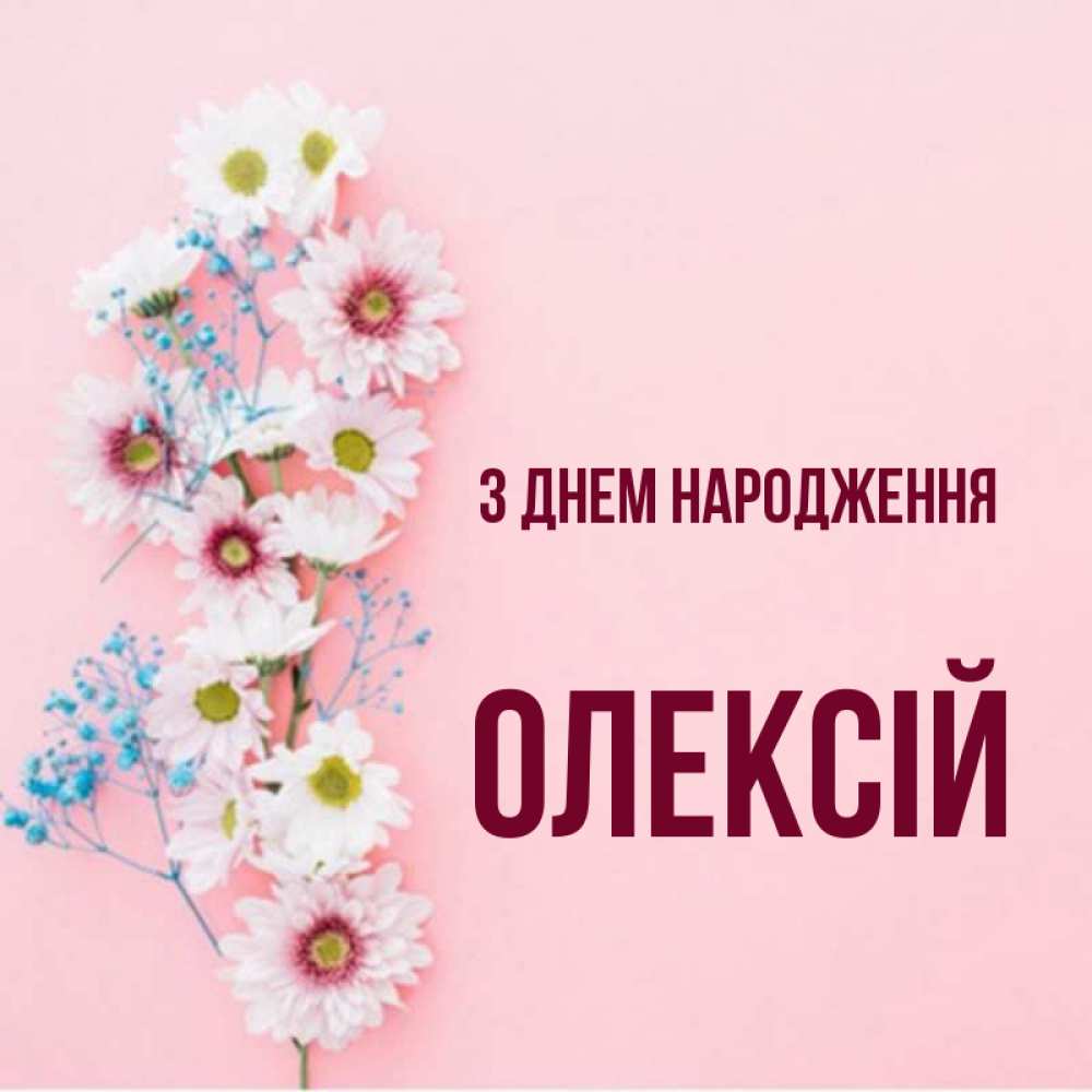 Открытка на каждый день з підписом, Олексій З Днем народження Родная моя с днем рождения тебя картинка с цветами белыми и голубыми Прикольна листівка з побажанням онлайн скачати безкоштовно 