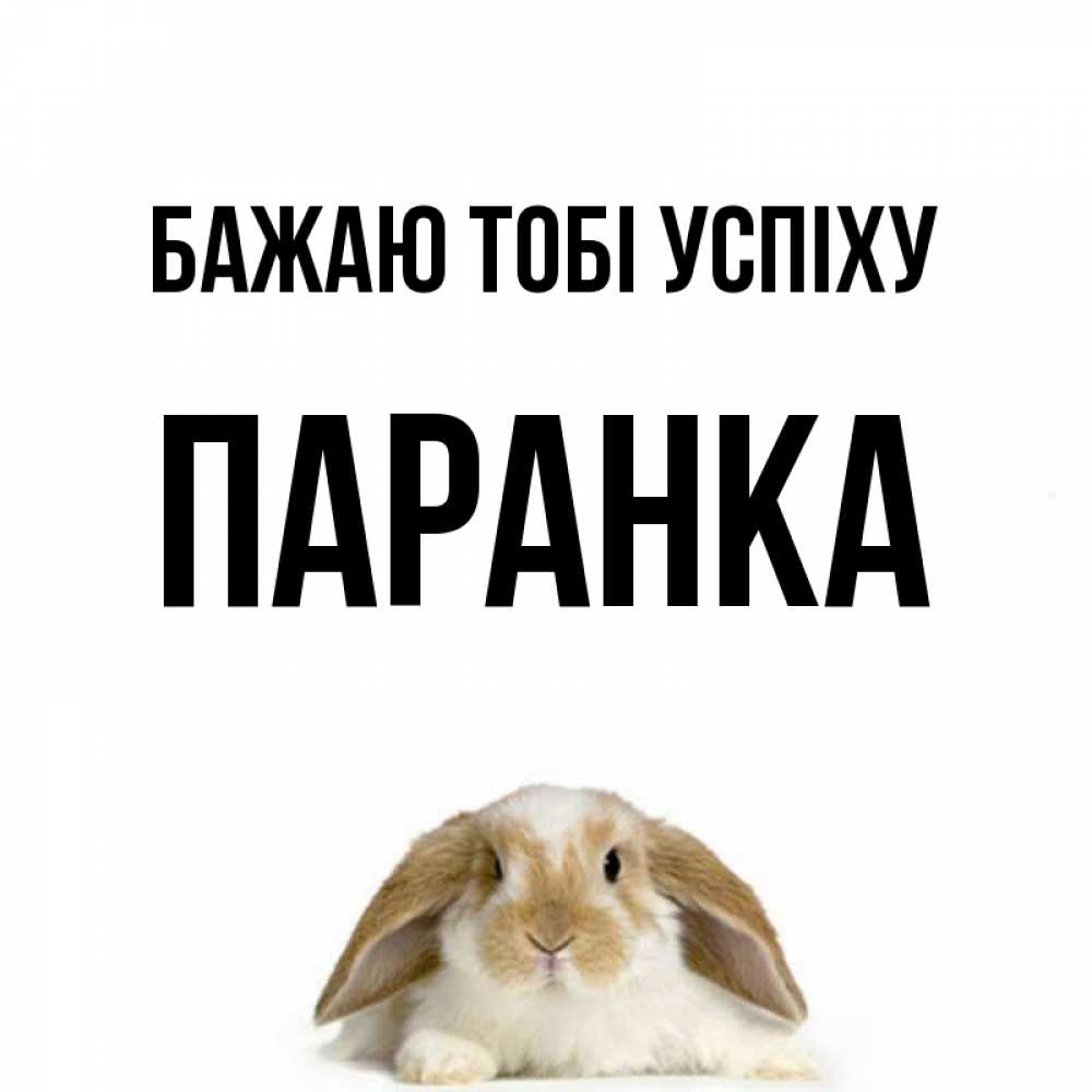 Открытка на каждый день з підписом, Паранка Бажаю тобі успіху открытки с произвольным текстом который можно вставить в открытку и создать ее самостоятельно бесплатно онлайн Прикольна листівка з побажанням онлайн скачати безкоштовно 