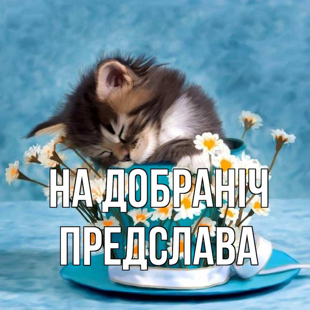 Открытка на каждый день з підписом, Предслава На добраніч котенок спит в кружке с блюдцем Прикольна листівка з побажанням онлайн скачати безкоштовно 