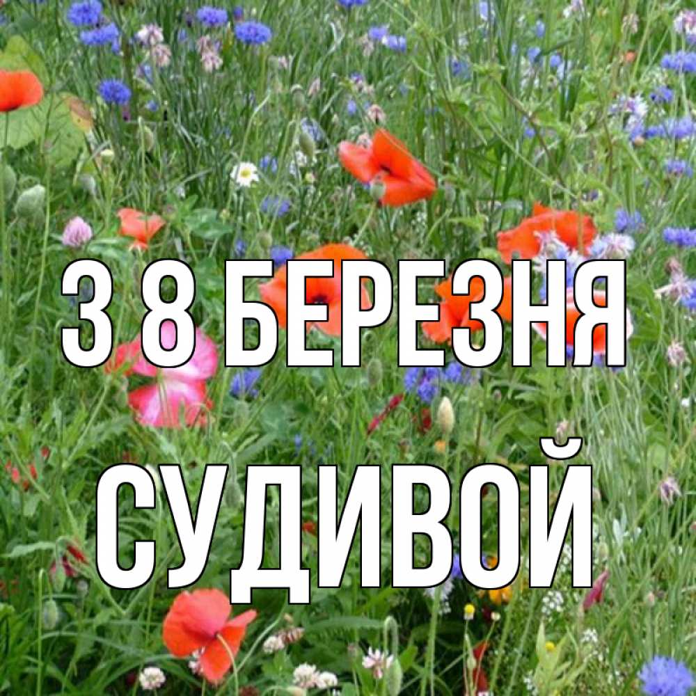 Открытка на каждый день з підписом, Судивой З 8 БЕРЕЗНЯ международный женский день 4 Прикольна листівка з побажанням онлайн скачати безкоштовно 