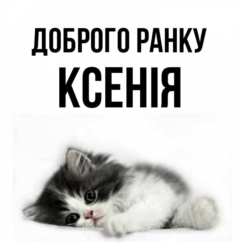 Открытка на каждый день з підписом, Ксенія Доброго ранку кот лапки Прикольна листівка з побажанням онлайн скачати безкоштовно 