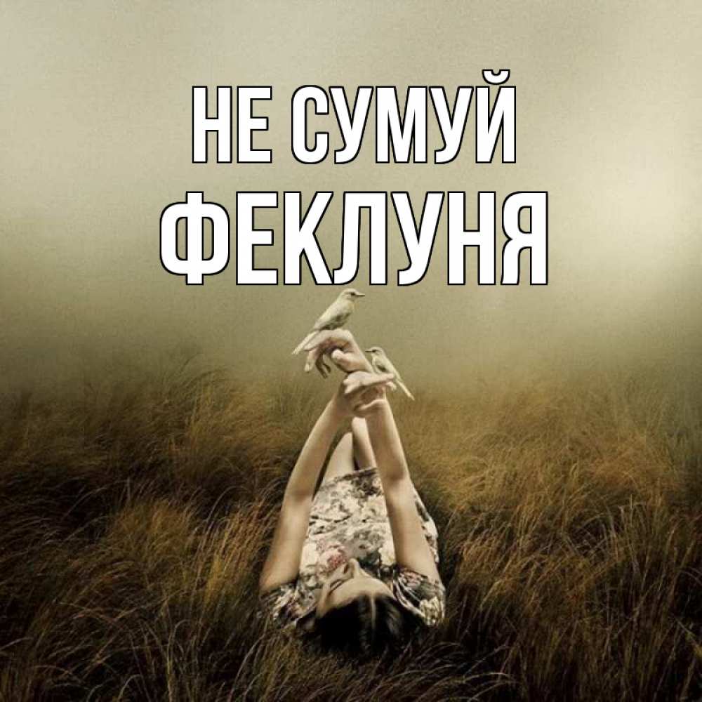 Открытка на каждый день з підписом, Феклуня Не сумуй поле и туман Прикольна листівка з побажанням онлайн скачати безкоштовно 