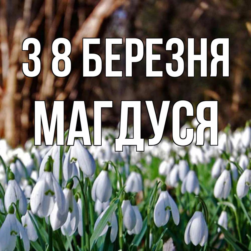 Открытка на каждый день з підписом, Магдуся З 8 БЕРЕЗНЯ с подснежниками 1 Прикольна листівка з побажанням онлайн скачати безкоштовно 