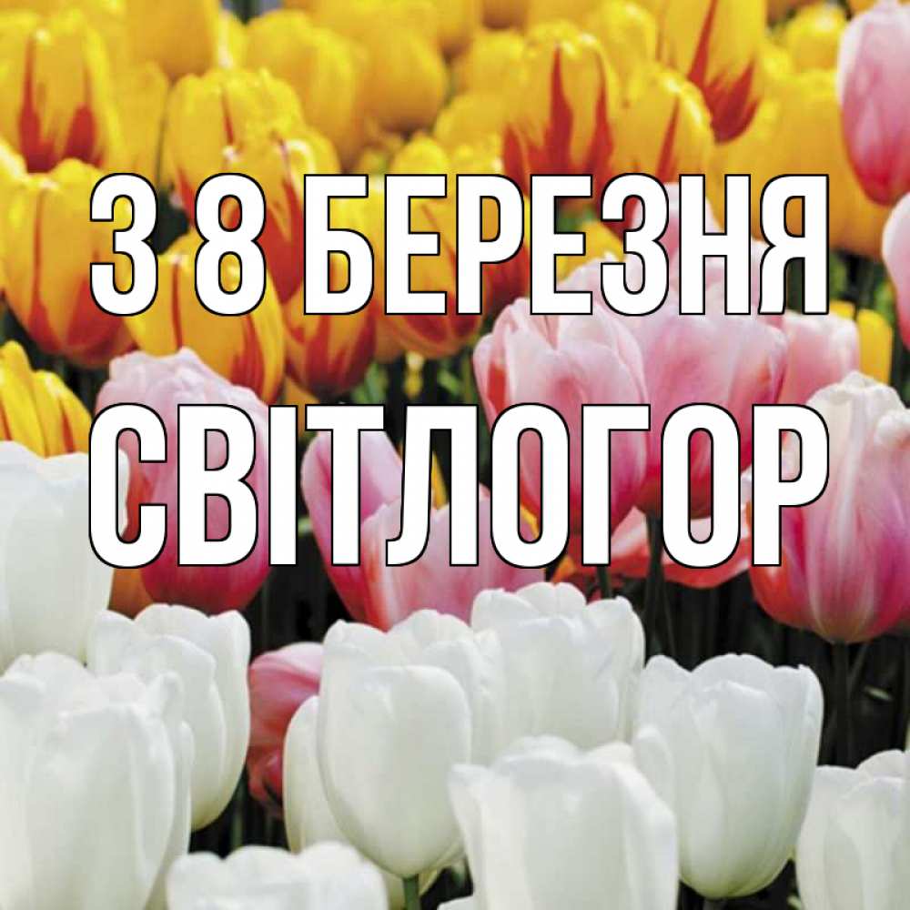 Открытка на каждый день з підписом, Світлогор З 8 БЕРЕЗНЯ разноцветные цветы Прикольна листівка з побажанням онлайн скачати безкоштовно 