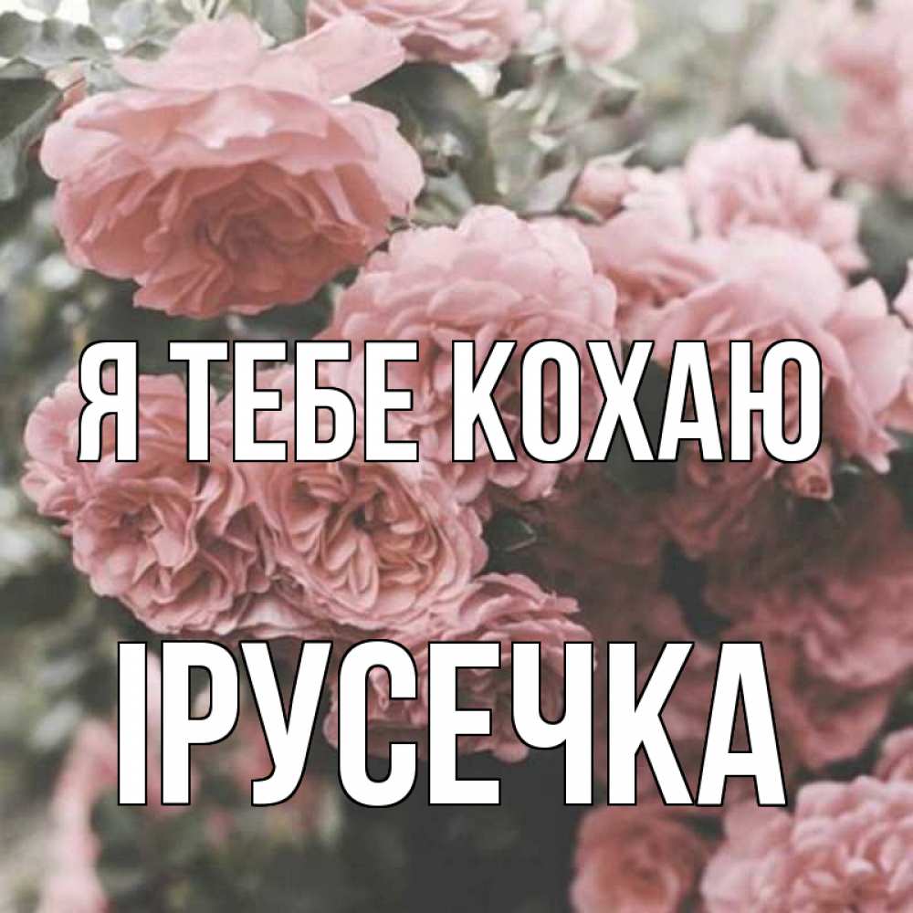 Открытка на каждый день з підписом, Ірусечка Я тебе кохаю розы 3 Прикольна листівка з побажанням онлайн скачати безкоштовно 