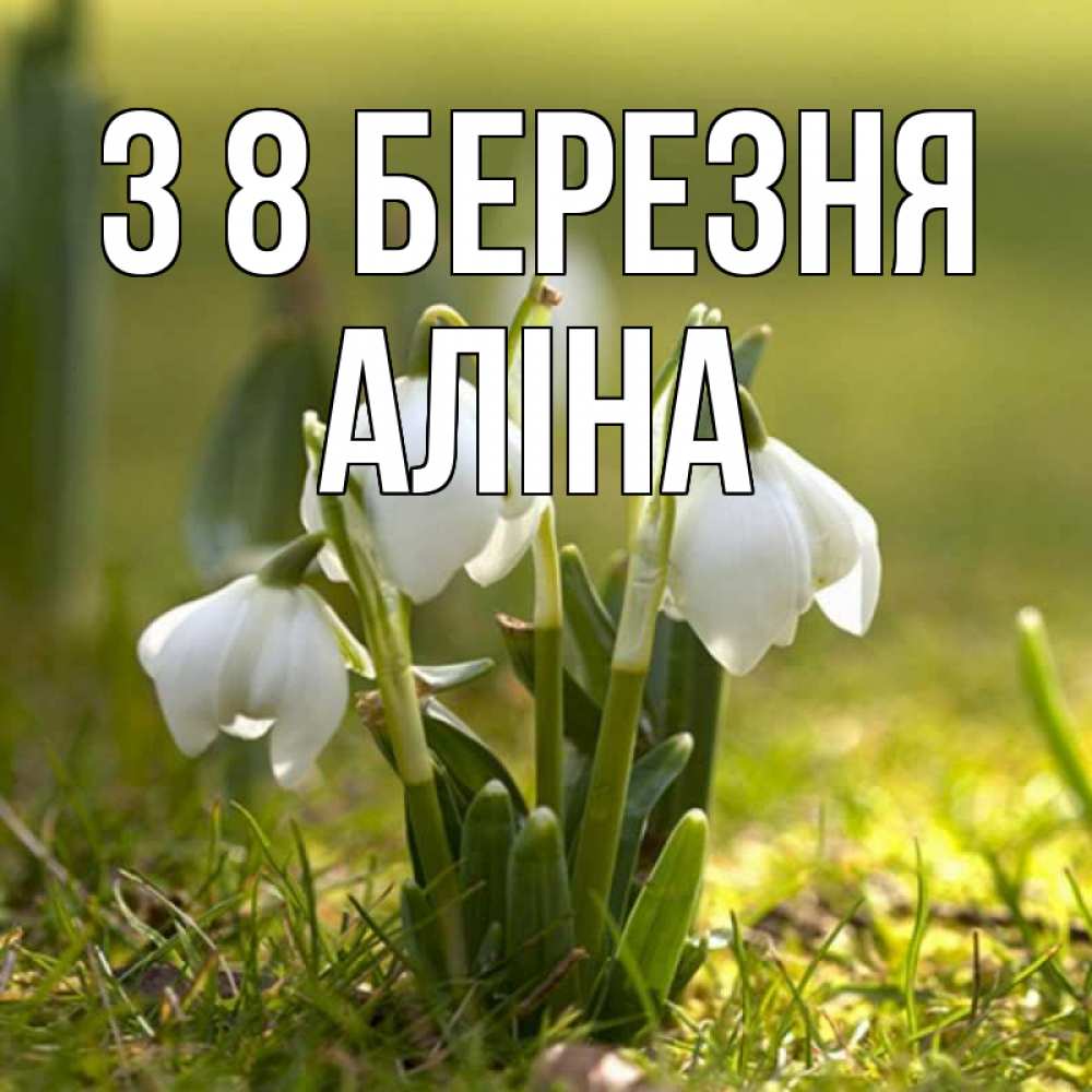 Открытка на каждый день з підписом, Аліна З 8 БЕРЕЗНЯ ранние цветы 2 Прикольна листівка з побажанням онлайн скачати безкоштовно 