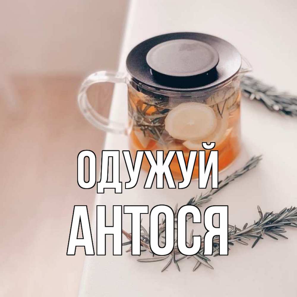 Открытка на каждый день з підписом, Антося Одужуй ну вы там держитесь Прикольна листівка з побажанням онлайн скачати безкоштовно 