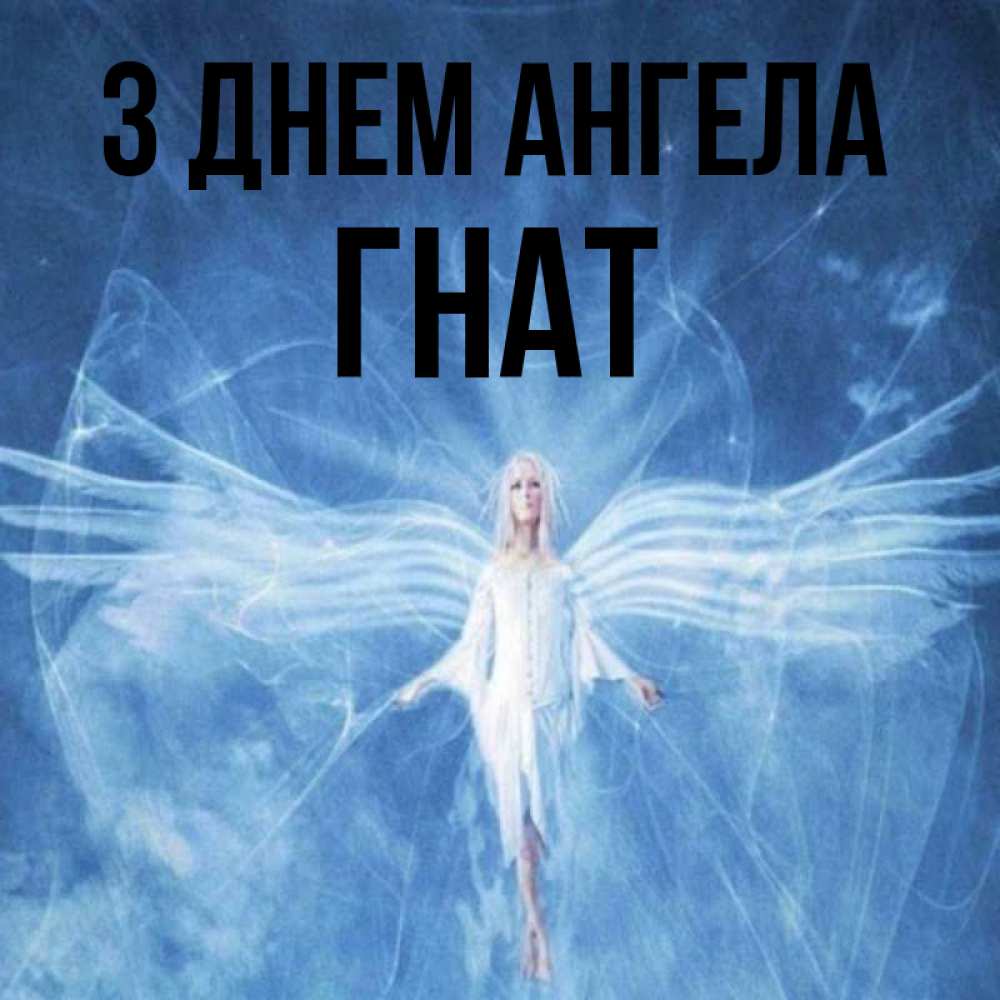 Открытка на каждый день з підписом, Гнат З Днем ангела голубой фон и крылья как у стрекозы Прикольна листівка з побажанням онлайн скачати безкоштовно 