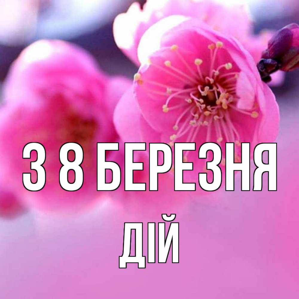 Открытка на каждый день з підписом, Дій З 8 БЕРЕЗНЯ международный женский день Прикольна листівка з побажанням онлайн скачати безкоштовно 