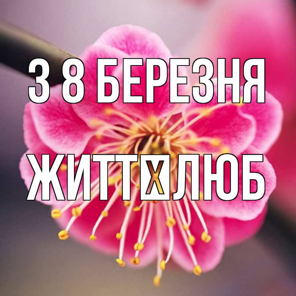 Открытка на каждый день з підписом, Життєлюб З 8 БЕРЕЗНЯ цветы Прикольна листівка з побажанням онлайн скачати безкоштовно 