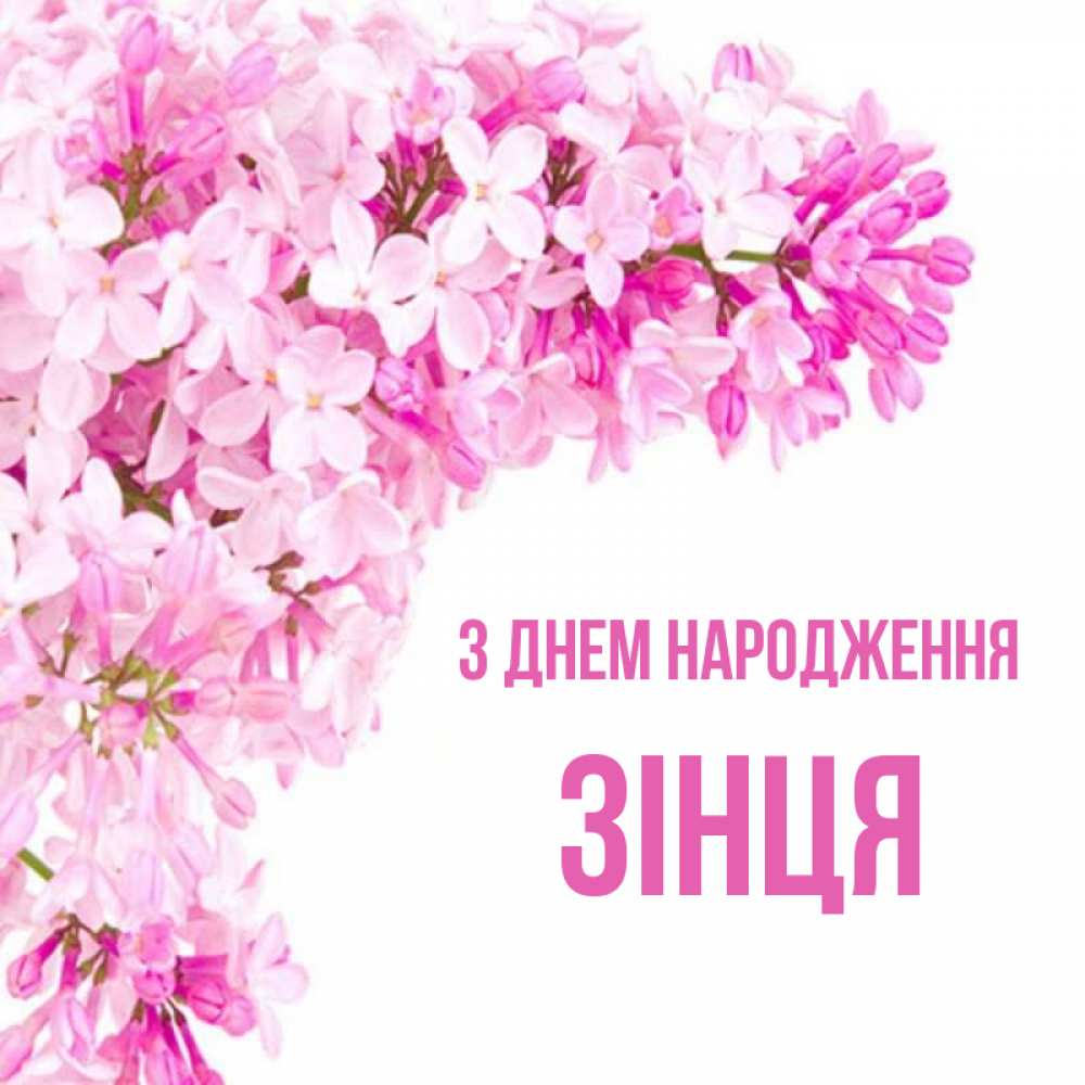 Открытка на каждый день з підписом, Зінця З Днем народження Сирень на белом фоне Прикольна листівка з побажанням онлайн скачати безкоштовно 