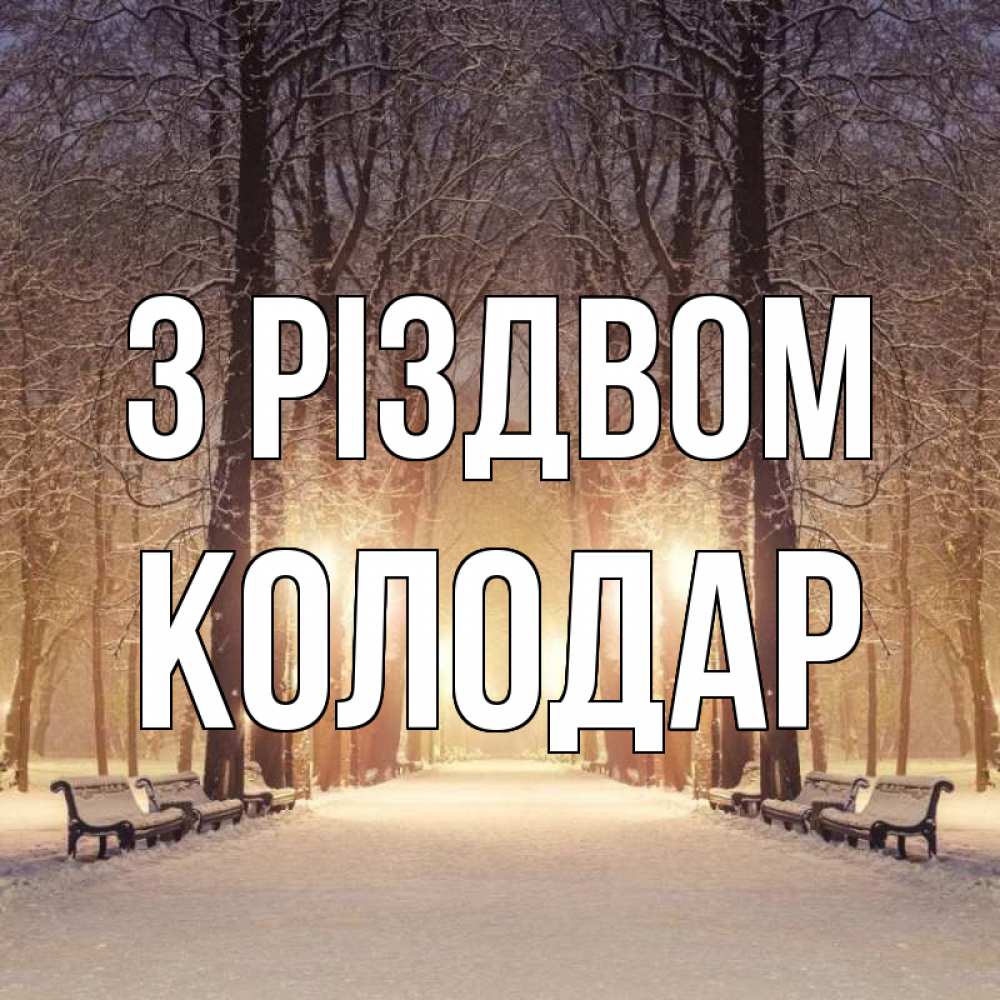 Открытка на каждый день з підписом, Колодар З Різдвом зима, парк, фонарь, лес Прикольна листівка з побажанням онлайн скачати безкоштовно 