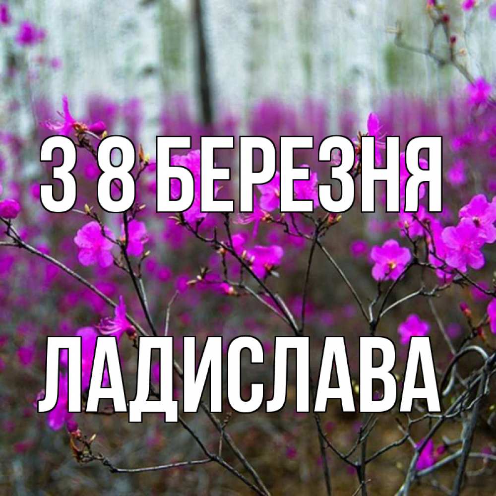 Открытка на каждый день з підписом, Ладислава З 8 БЕРЕЗНЯ дикие цветы Прикольна листівка з побажанням онлайн скачати безкоштовно 