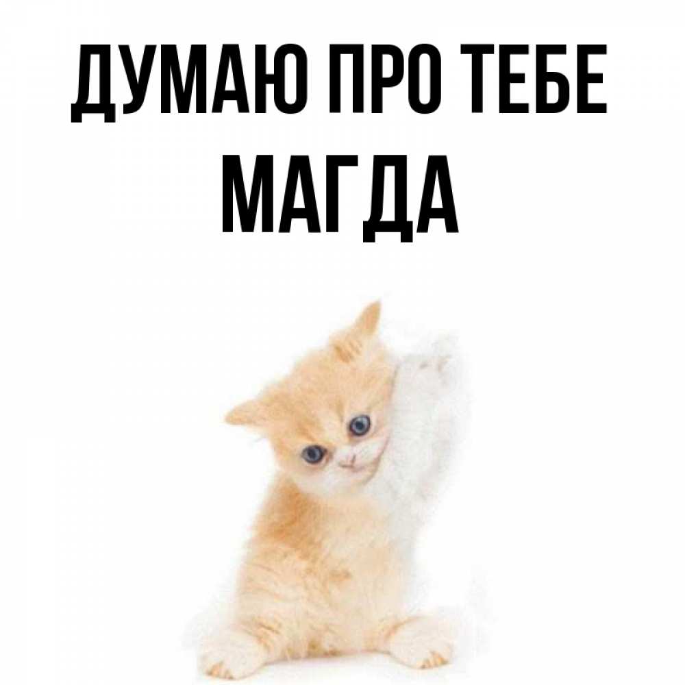 Открытка на каждый день з підписом, Магда Думаю про тебе зверушки и милота Прикольна листівка з побажанням онлайн скачати безкоштовно 