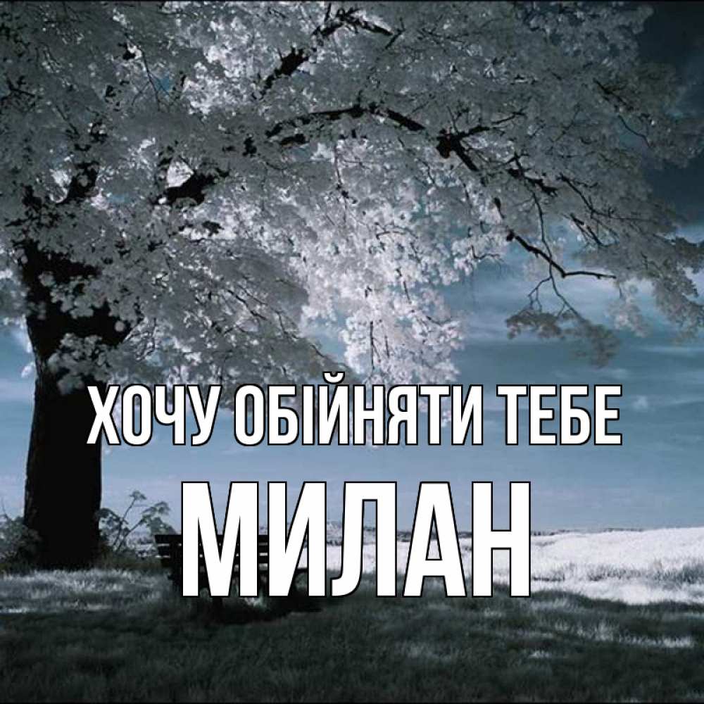 Открытка на каждый день з підписом, Милан Хочу обійняти тебе дерево Прикольна листівка з побажанням онлайн скачати безкоштовно 