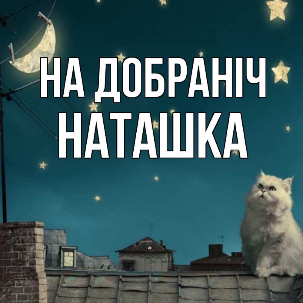 Открытка на каждый день з підписом, Наташка На добраніч белый кот сидит на крыше Прикольна листівка з побажанням онлайн скачати безкоштовно 