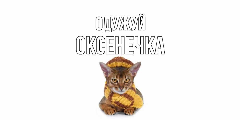 Открытка на каждый день з підписом, Оксенечка Одужуй родные не болейте Прикольна листівка з побажанням онлайн скачати безкоштовно 