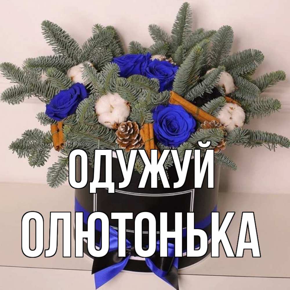 Открытка на каждый день з підписом, Олютонька Одужуй короче кто то загрузил эти шишки Прикольна листівка з побажанням онлайн скачати безкоштовно 