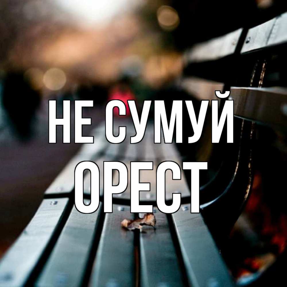 Открытка на каждый день з підписом, Орест Не сумуй размытый фон Прикольна листівка з побажанням онлайн скачати безкоштовно 
