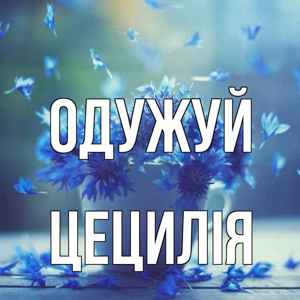 Открытка на каждый день з підписом, Цецилія Одужуй кружка с зельем и цветами Прикольна листівка з побажанням онлайн скачати безкоштовно 