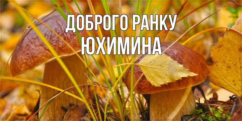 Открытка на каждый день з підписом, Юхимина Доброго ранку осенние грибы Прикольна листівка з побажанням онлайн скачати безкоштовно 