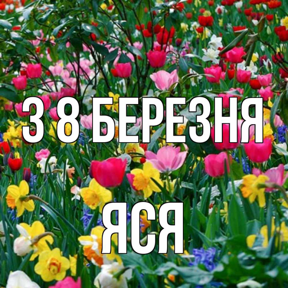 Открытка на каждый день з підписом, Яся З 8 БЕРЕЗНЯ с международным женским днем поздравления для женщины Прикольна листівка з побажанням онлайн скачати безкоштовно 