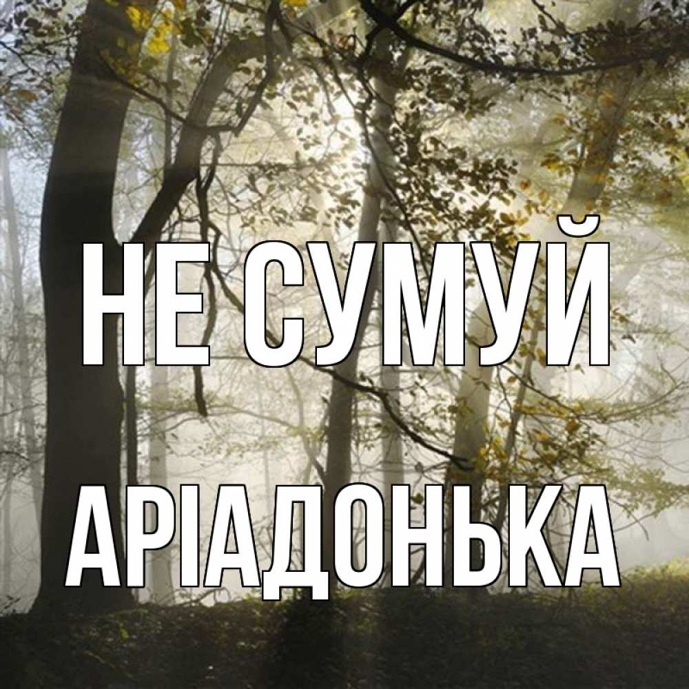 Открытка на каждый день з підписом, Аріадонька Не сумуй лес и свет Прикольна листівка з побажанням онлайн скачати безкоштовно 