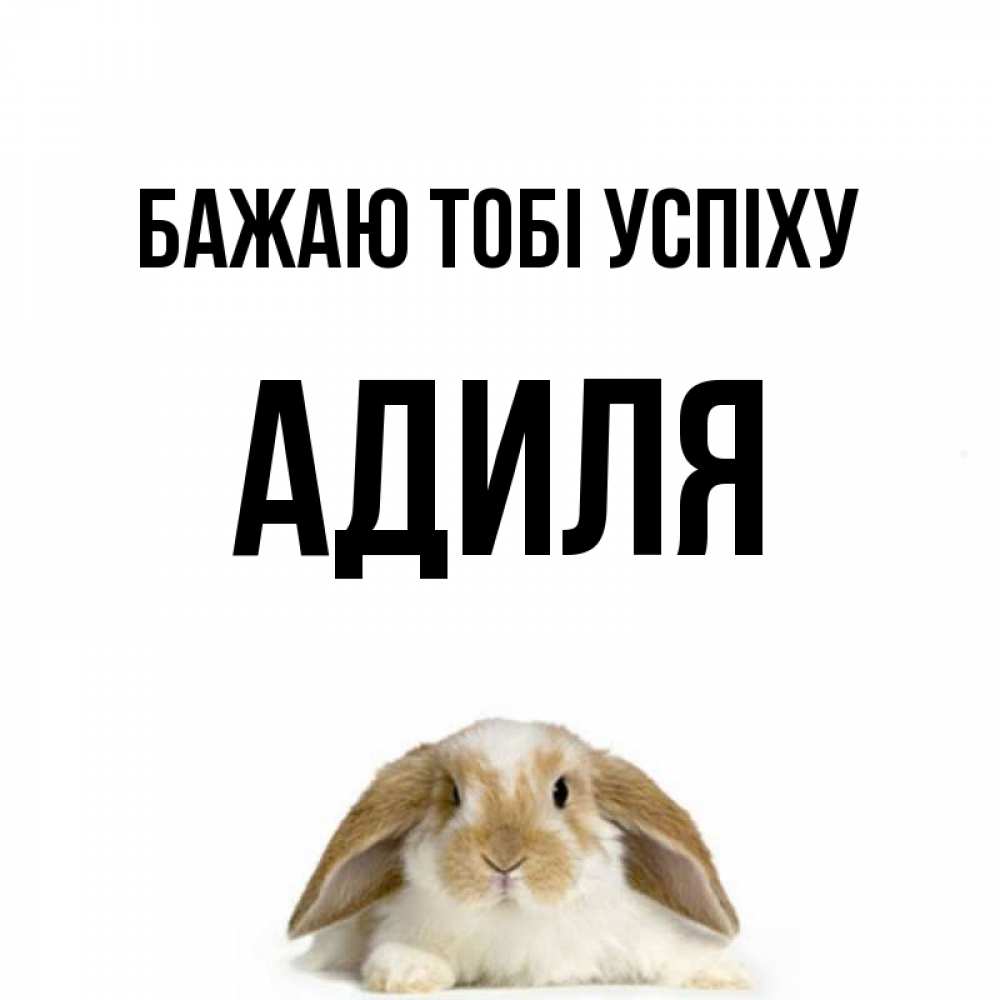 Открытка на каждый день з підписом, Адиля Бажаю тобі успіху открытки с произвольным текстом который можно вставить в открытку и создать ее самостоятельно бесплатно онлайн Прикольна листівка з побажанням онлайн скачати безкоштовно 