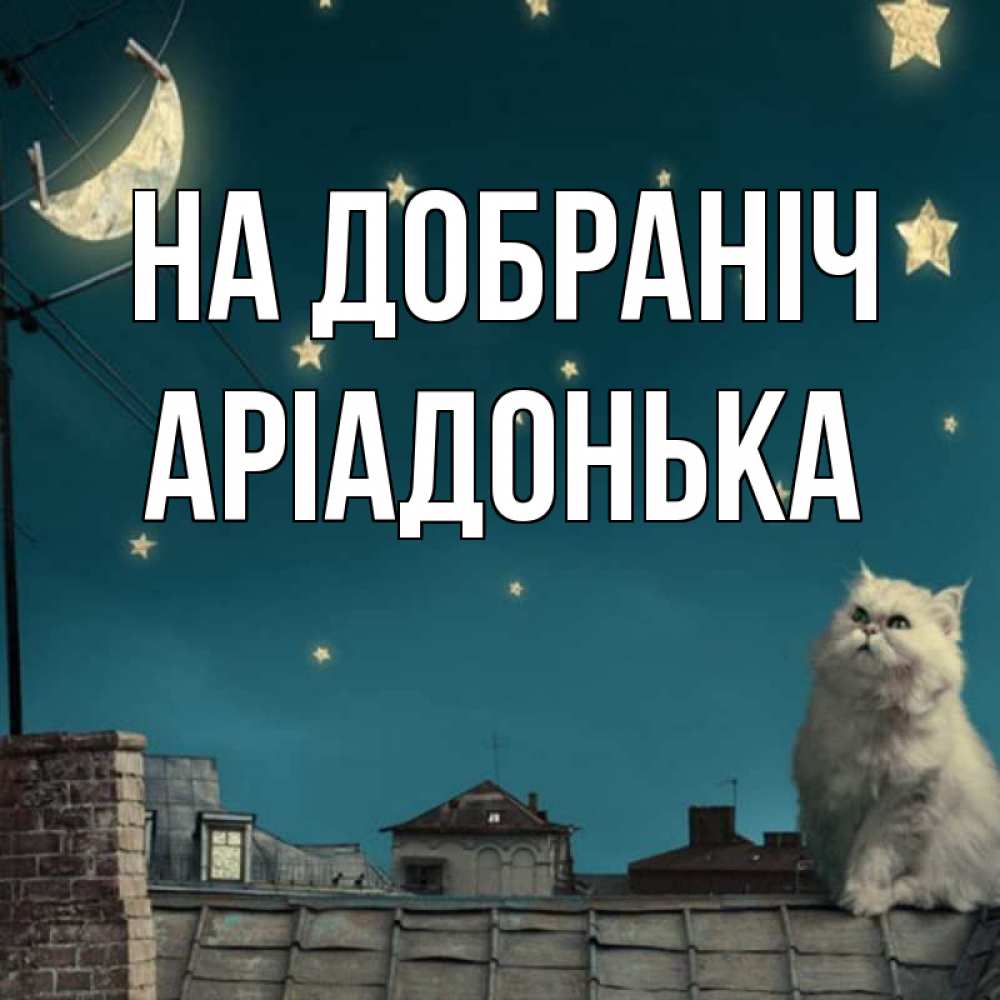 Открытка на каждый день з підписом, Аріадонька На добраніч белый кот сидит на крыше Прикольна листівка з побажанням онлайн скачати безкоштовно 