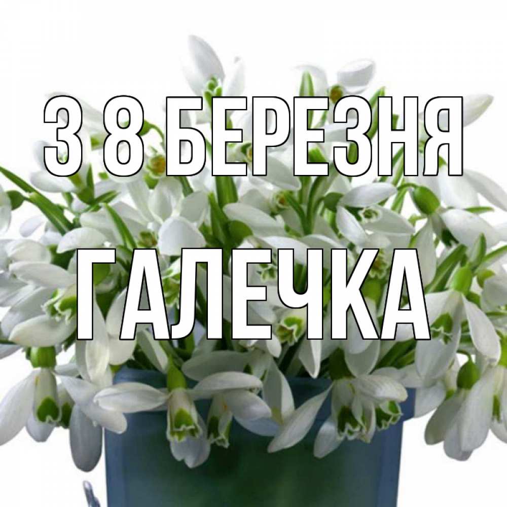 Открытка на каждый день з підписом, Галечка З 8 БЕРЕЗНЯ цветы к международному женскому дню Прикольна листівка з побажанням онлайн скачати безкоштовно 