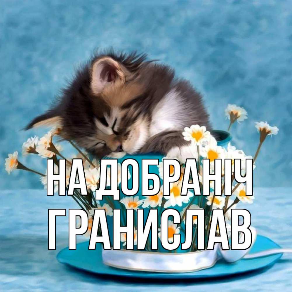 Открытка на каждый день з підписом, Гранислав На добраніч котенок спит в кружке с блюдцем Прикольна листівка з побажанням онлайн скачати безкоштовно 