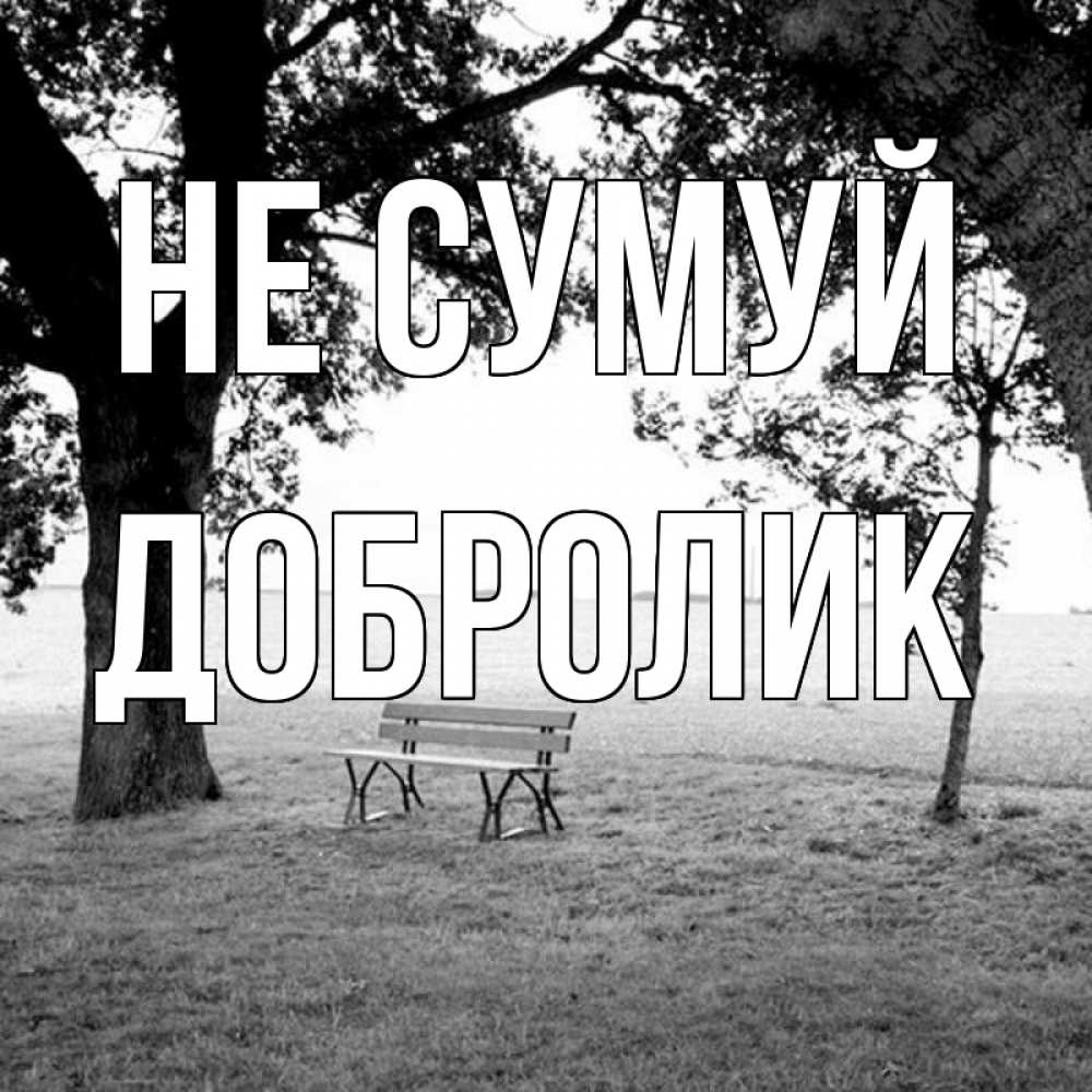 Открытка на каждый день з підписом, Добролик Не сумуй мощное дерево Прикольна листівка з побажанням онлайн скачати безкоштовно 
