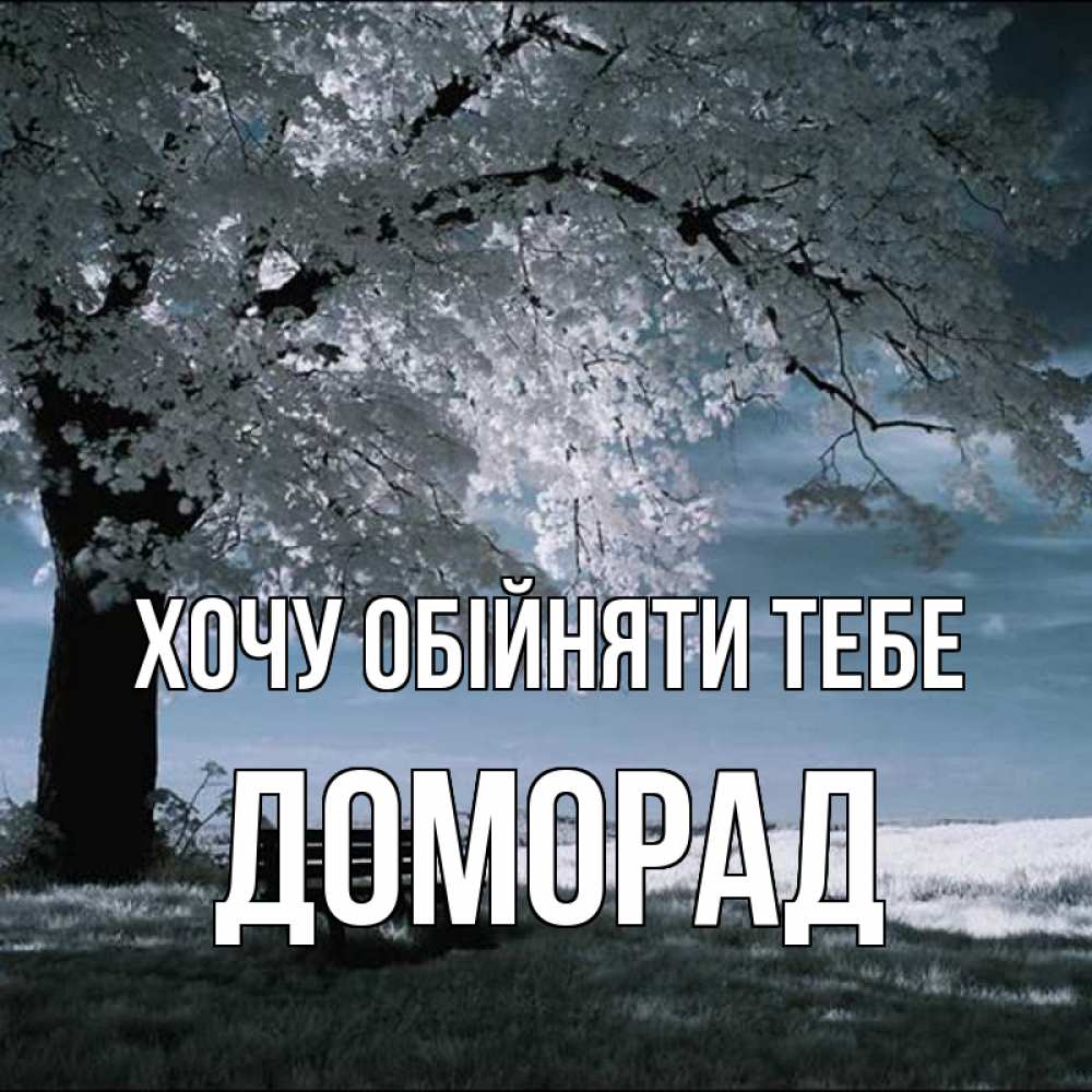 Открытка на каждый день з підписом, Доморад Хочу обійняти тебе дерево Прикольна листівка з побажанням онлайн скачати безкоштовно 
