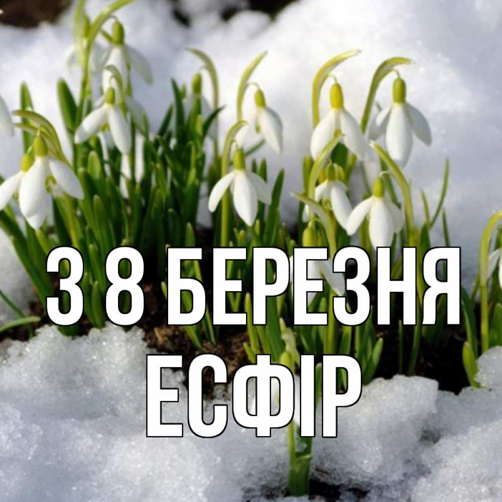 Открытка на каждый день з підписом, Есфір З 8 БЕРЕЗНЯ цветы весенние Прикольна листівка з побажанням онлайн скачати безкоштовно 
