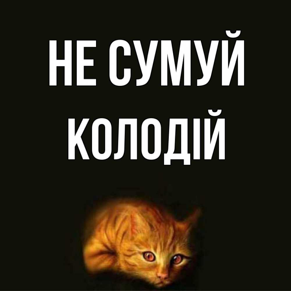 Открытка на каждый день з підписом, Колодій Не сумуй лежащий кот в темноте Прикольна листівка з побажанням онлайн скачати безкоштовно 