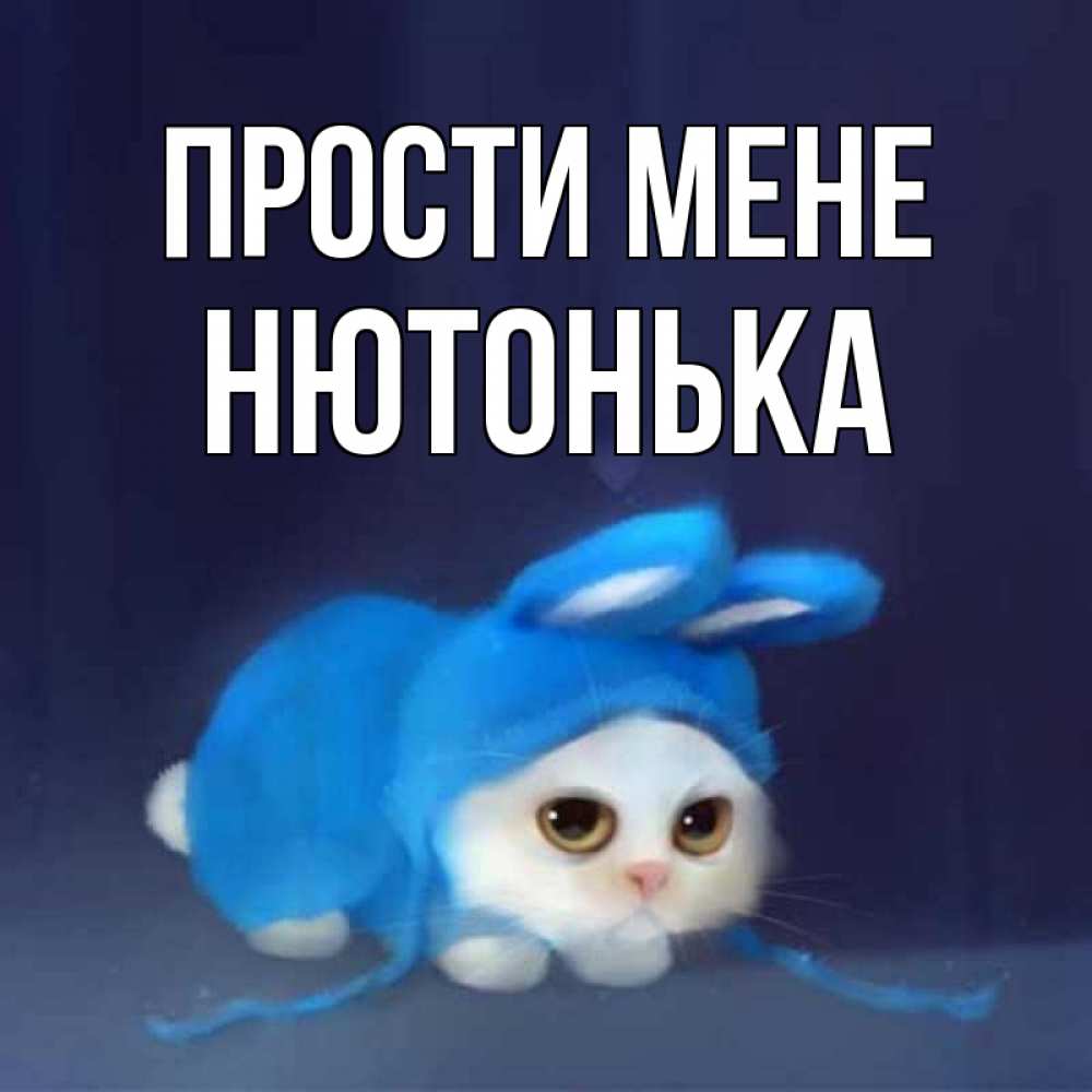 Открытка на каждый день з підписом, Нютонька Прости мене невинный котозай просит прощения Прикольна листівка з побажанням онлайн скачати безкоштовно 