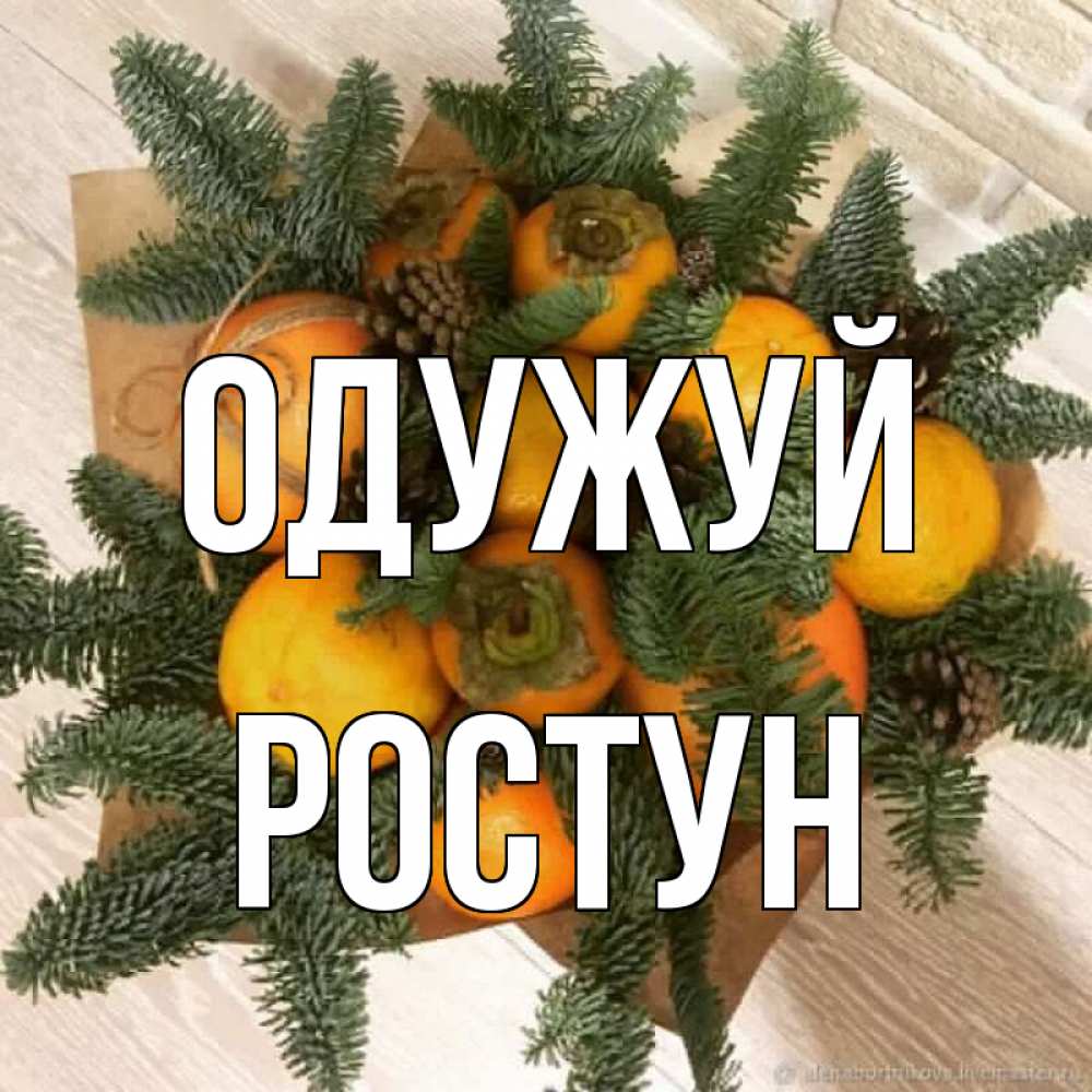 Открытка на каждый день з підписом, Ростун Одужуй апельсины и хурьма Прикольна листівка з побажанням онлайн скачати безкоштовно 
