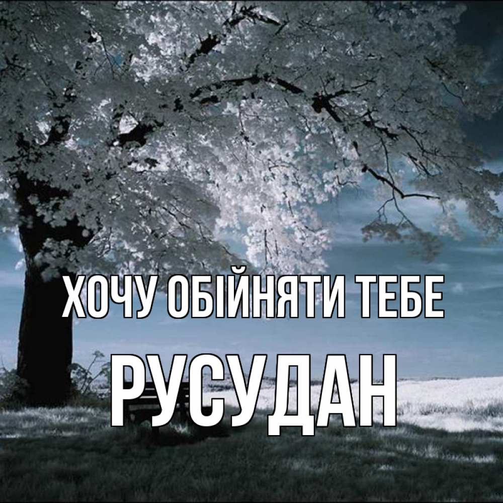 Открытка на каждый день з підписом, Русудан Хочу обійняти тебе дерево Прикольна листівка з побажанням онлайн скачати безкоштовно 