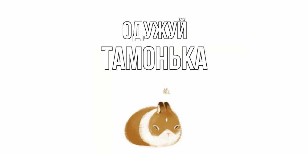 Открытка на каждый день з підписом, Тамонька Одужуй морская свинка на открытке с пожеланиями не болеть Прикольна листівка з побажанням онлайн скачати безкоштовно 