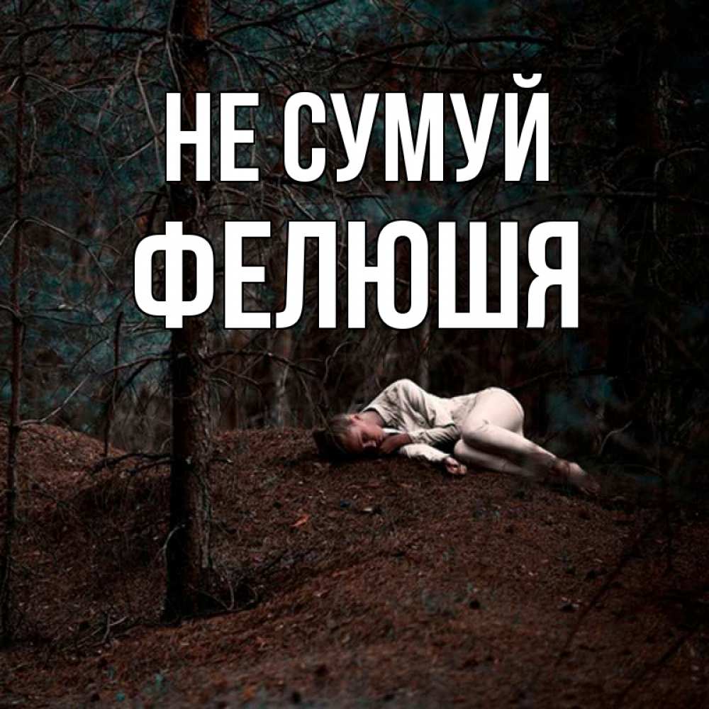 Открытка на каждый день з підписом, Фелюшя Не сумуй лес Прикольна листівка з побажанням онлайн скачати безкоштовно 