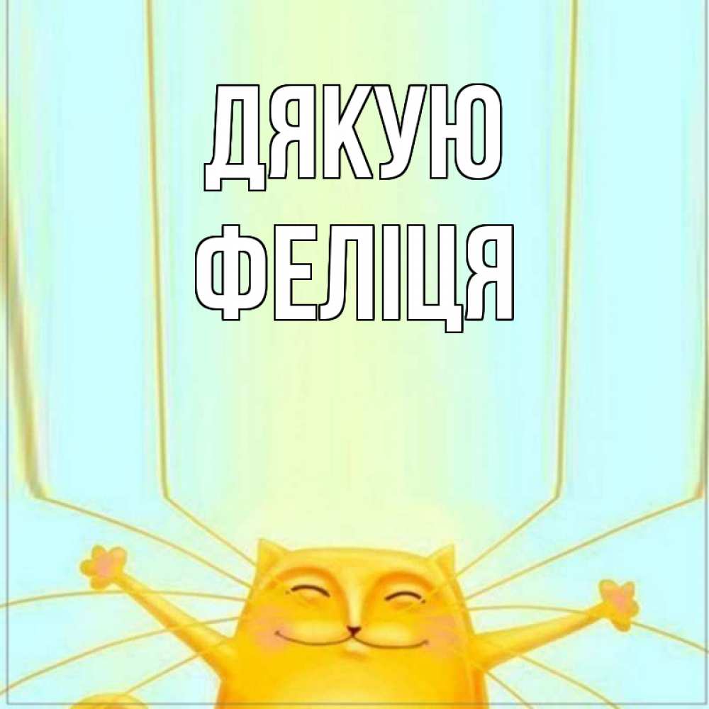 Открытка на каждый день з підписом, Феліця Дякую кот с усами благодарит Прикольна листівка з побажанням онлайн скачати безкоштовно 