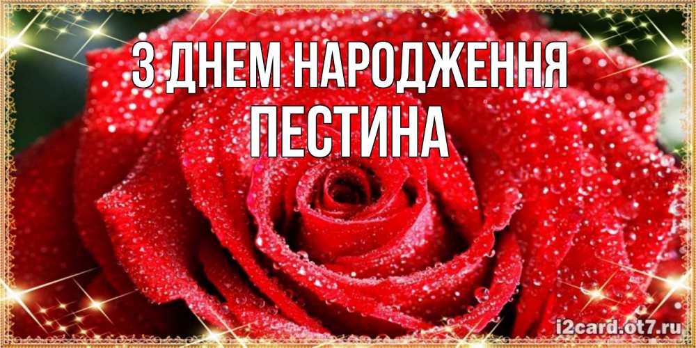 Открытка на каждый день з підписом, Пестина З Днем народження роса и роза. открытка с красивой розой Прикольна листівка з побажанням онлайн скачати безкоштовно 