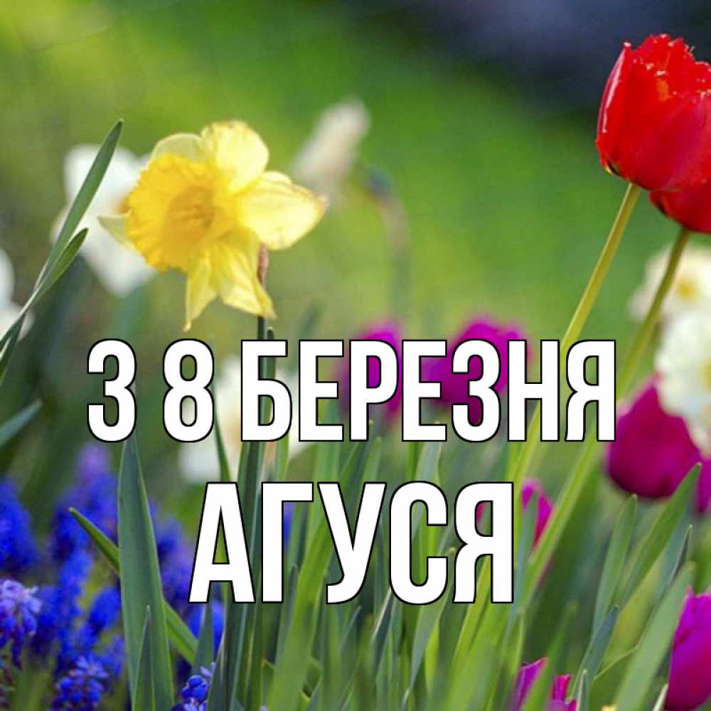 Открытка на каждый день з підписом, Агуся З 8 БЕРЕЗНЯ международный женский день 3 Прикольна листівка з побажанням онлайн скачати безкоштовно 