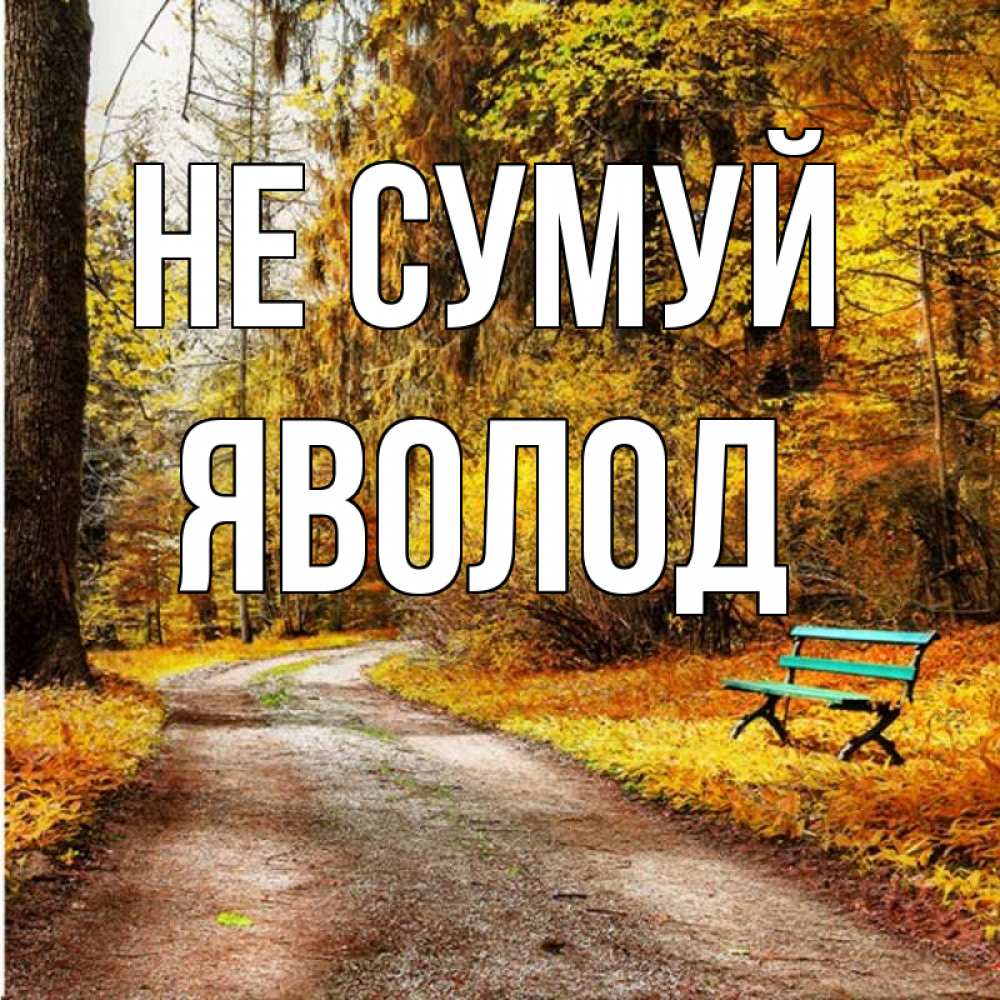 Открытка на каждый день з підписом, Яволод Не сумуй зеленая лавочка Прикольна листівка з побажанням онлайн скачати безкоштовно 