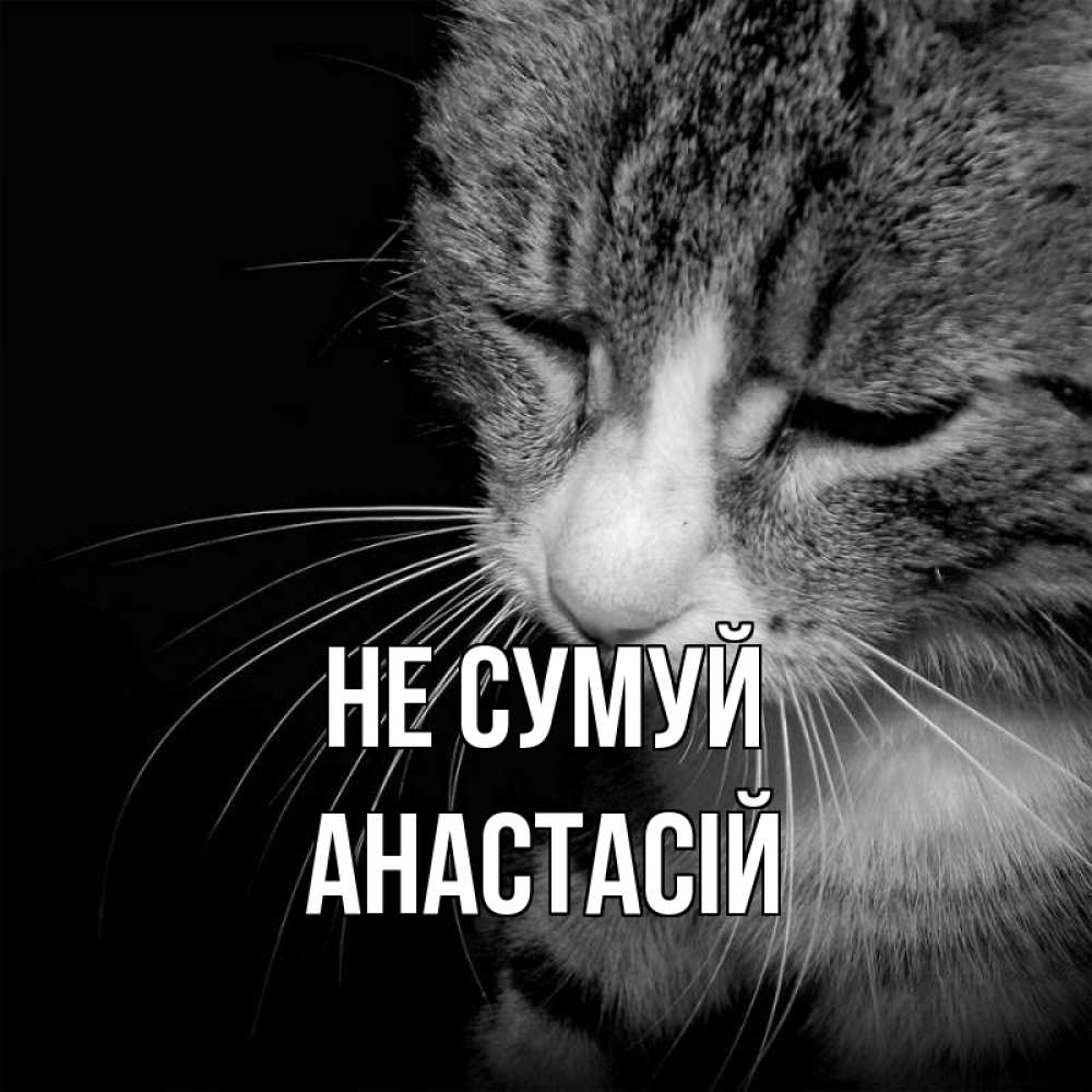 Открытка на каждый день з підписом, Анастасій Не сумуй грустный котик Прикольна листівка з побажанням онлайн скачати безкоштовно 