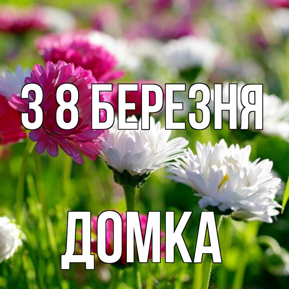 Открытка на каждый день з підписом, Домка З 8 БЕРЕЗНЯ международный женский день 1 Прикольна листівка з побажанням онлайн скачати безкоштовно 