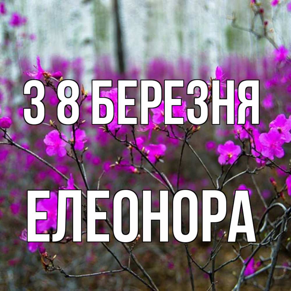 Открытка на каждый день з підписом, Елеонора З 8 БЕРЕЗНЯ дикие цветы Прикольна листівка з побажанням онлайн скачати безкоштовно 