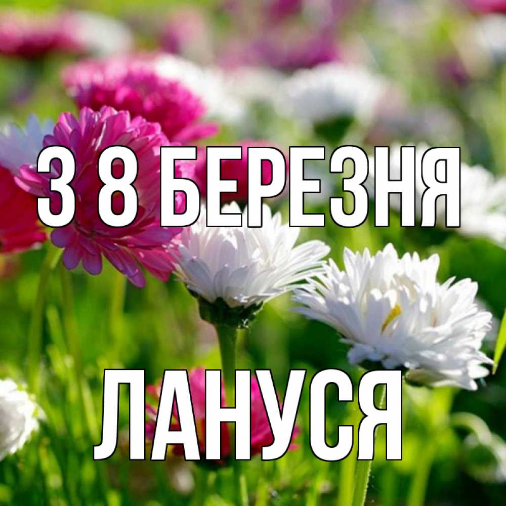 Открытка на каждый день з підписом, Лануся З 8 БЕРЕЗНЯ международный женский день 1 Прикольна листівка з побажанням онлайн скачати безкоштовно 